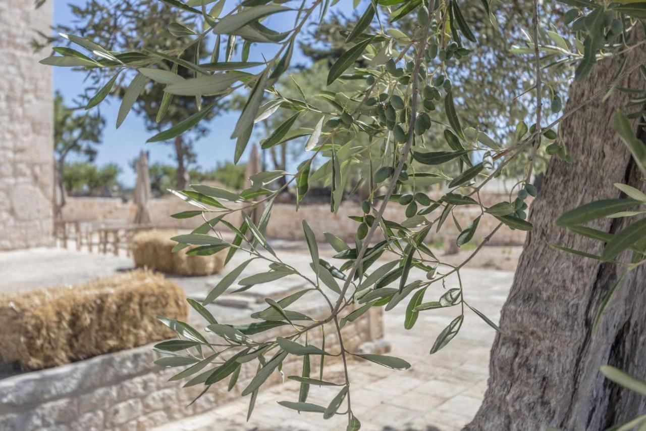 Masseria Fanizzi 孔韦尔萨诺 外观 照片