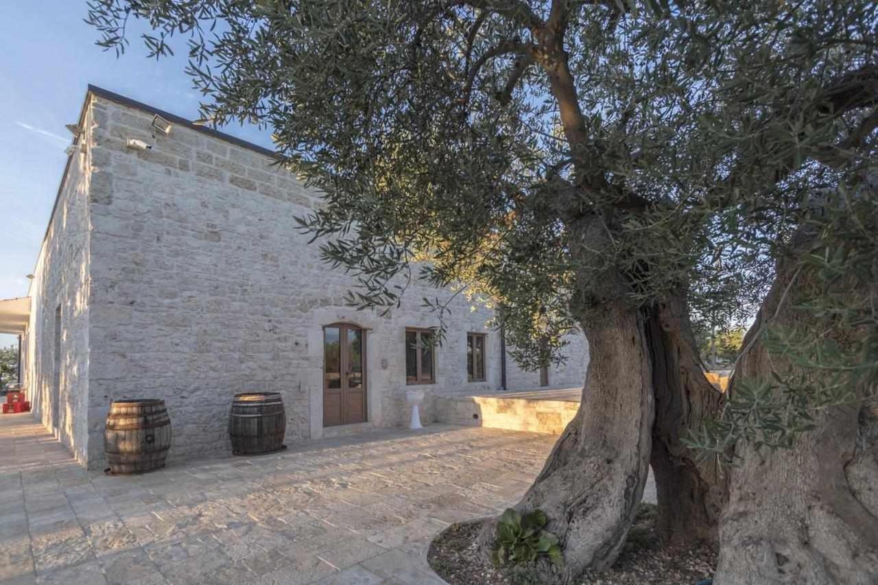 Masseria Fanizzi 孔韦尔萨诺 外观 照片