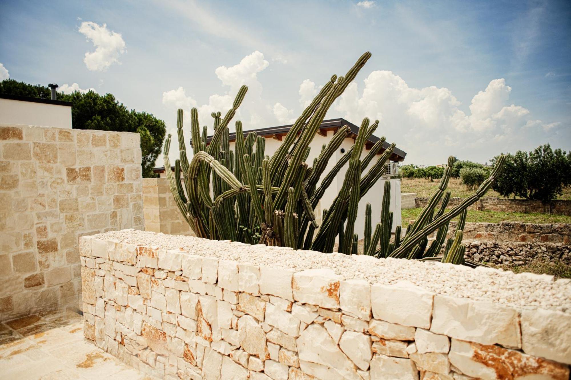 Masseria Fanizzi 孔韦尔萨诺 外观 照片