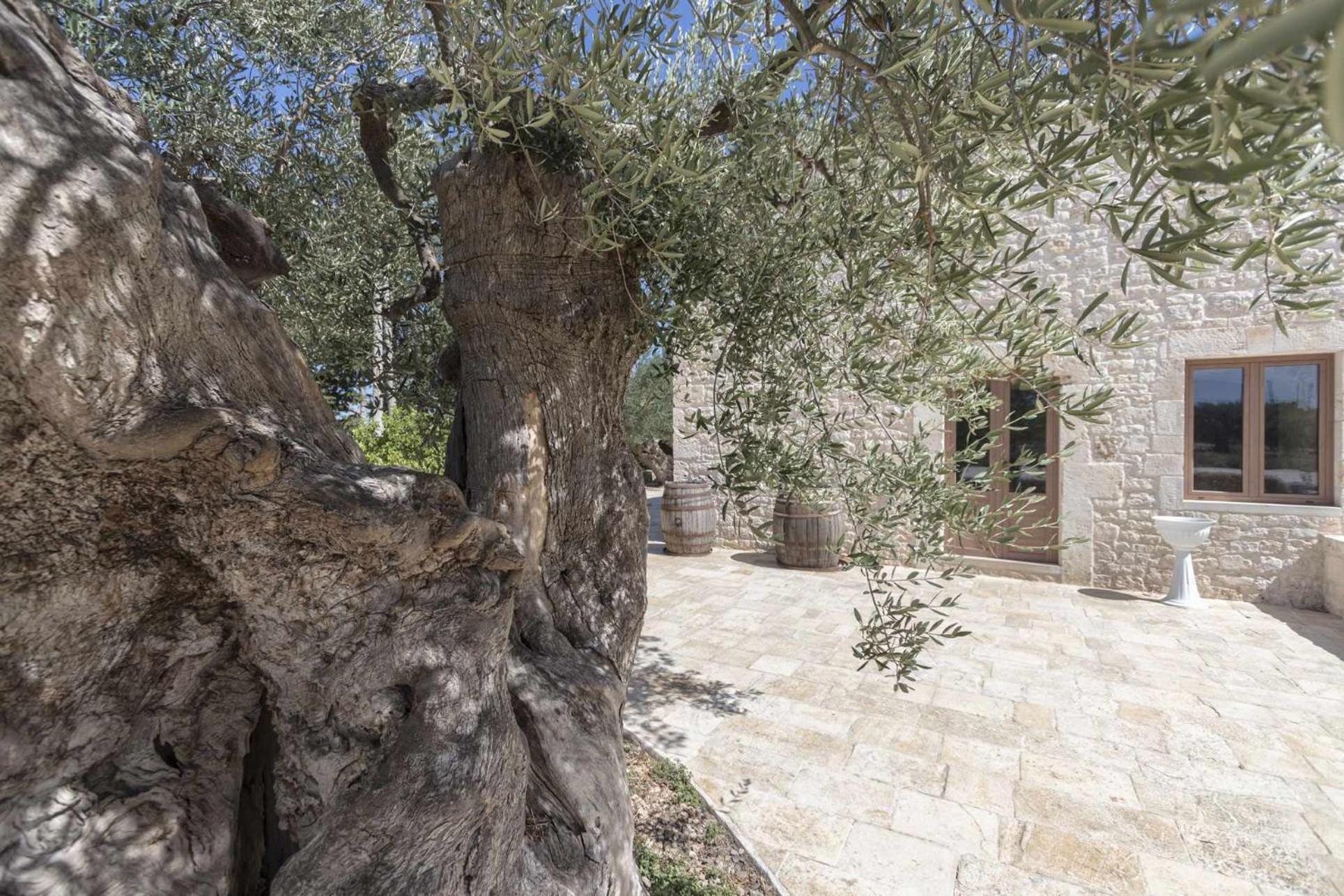 Masseria Fanizzi 孔韦尔萨诺 客房 照片